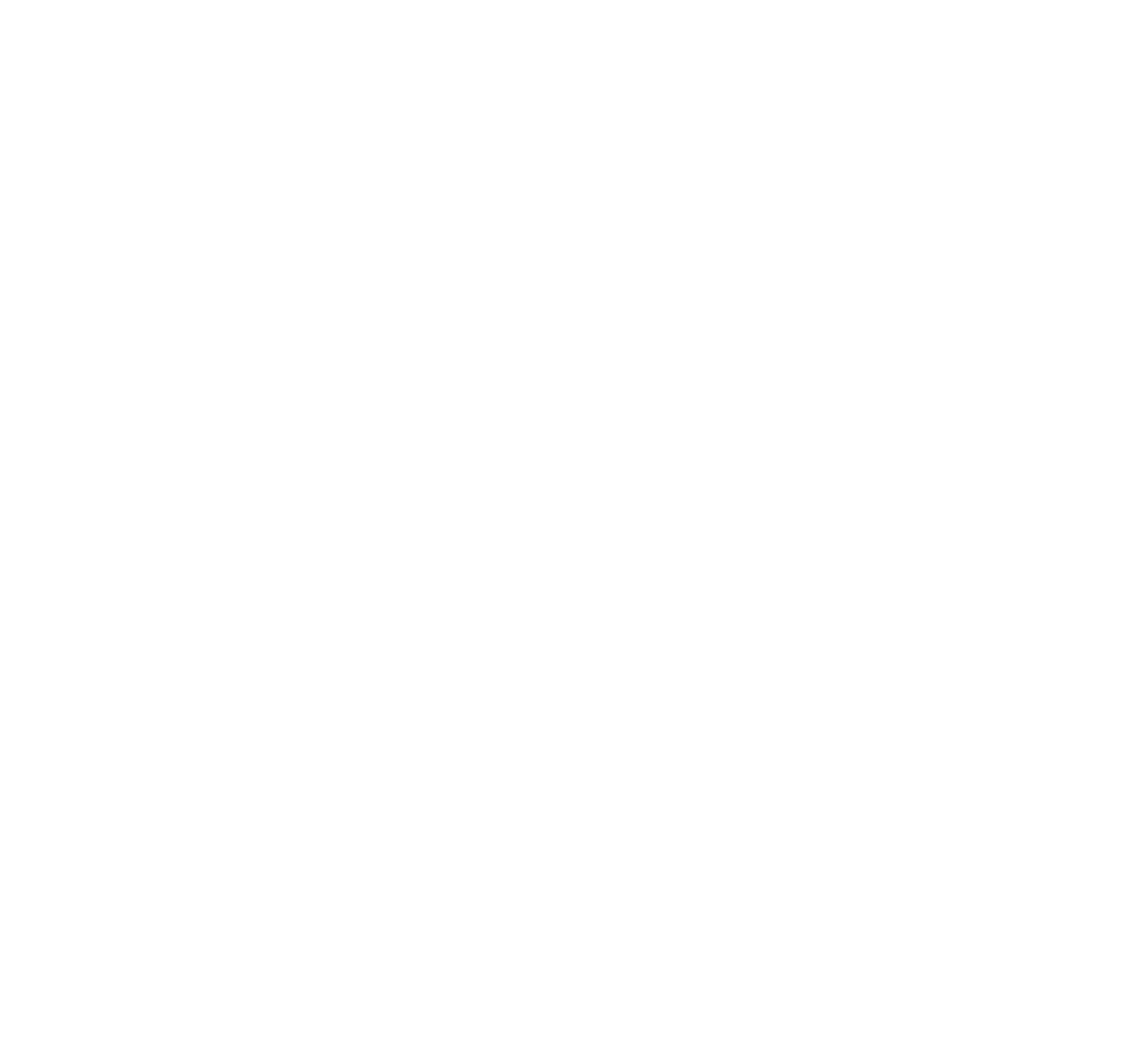 APPN logo 